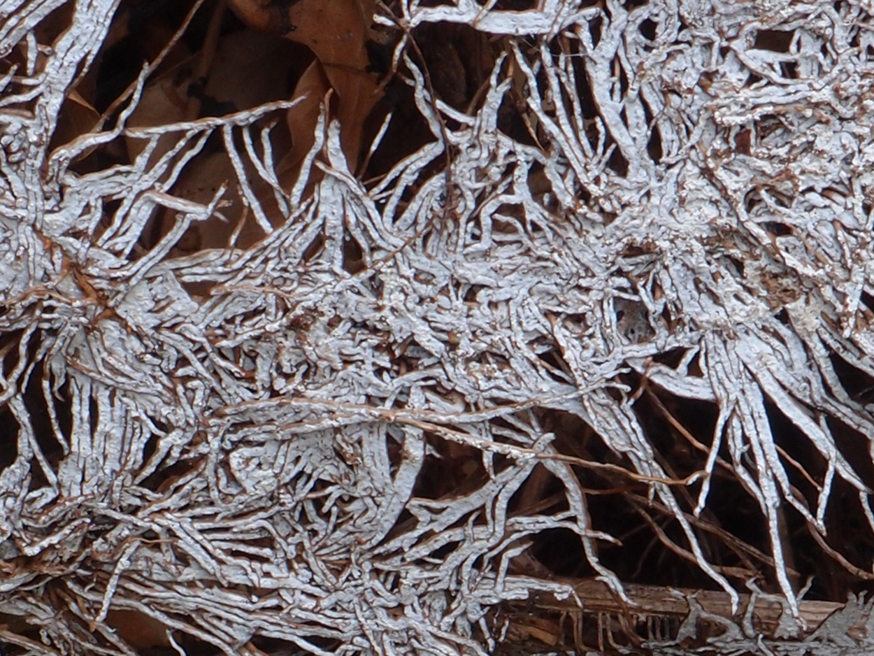 2019-07-21 foto-grafisches Statement I